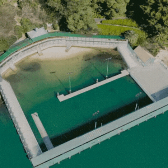 Dawn Fraser VR